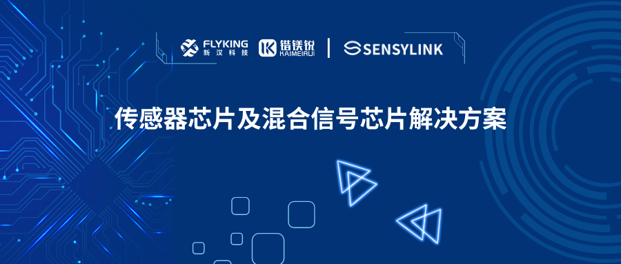 芯版圖 | 攜手申矽凌，高性能傳感器芯片及混合信號芯片已就位